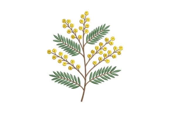 Mimosa Flower Embroidery Design